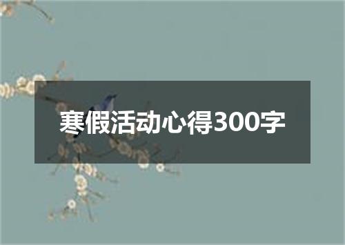 寒假活动心得300字