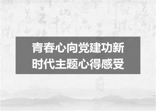 青春心向党建功新时代主题心得感受