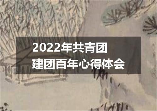 2022年共青团建团百年心得体会