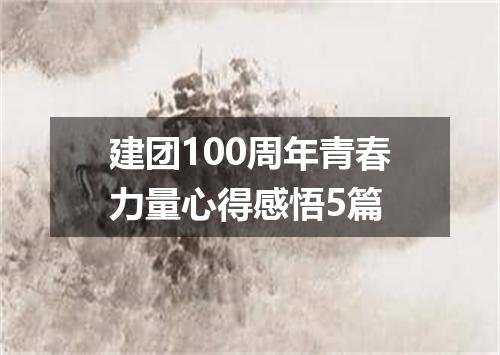建团100周年青春力量心得感悟5篇