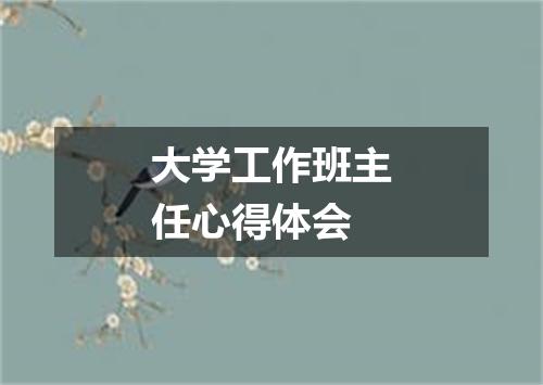 大学工作班主任心得体会