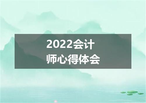 2022会计师心得体会