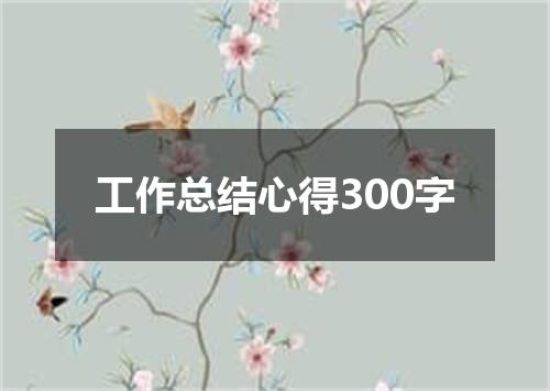 工作总结心得300字