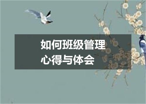 如何班级管理心得与体会