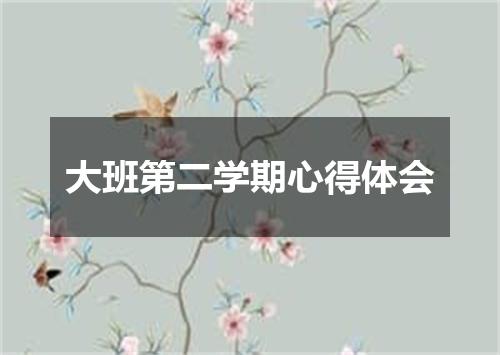 大班第二学期心得体会