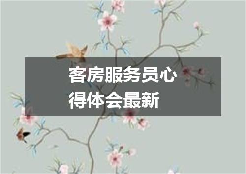 客房服务员心得体会最新