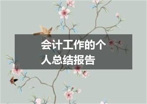 会计工作的个人总结报告