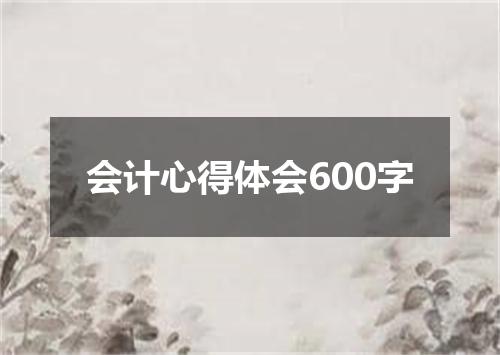 会计心得体会600字