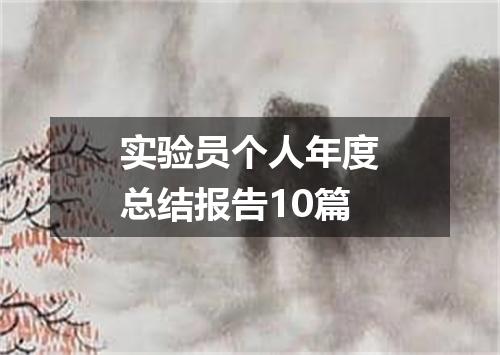 实验员个人年度总结报告10篇
