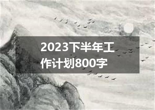 2023下半年工作计划800字
