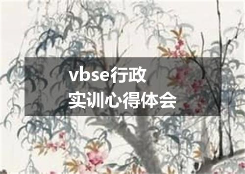 vbse行政实训心得体会