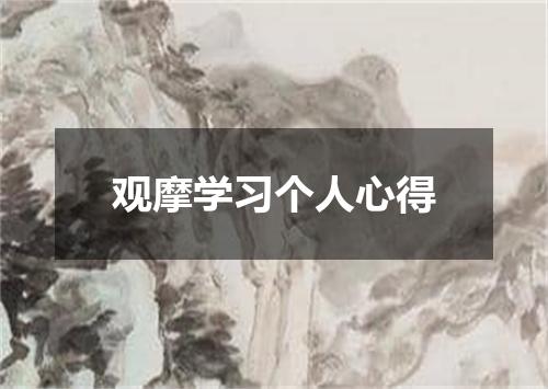 观摩学习个人心得