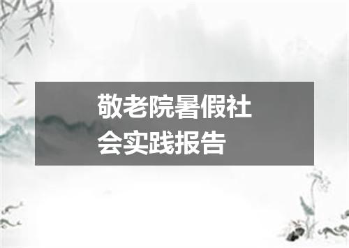 敬老院暑假社会实践报告