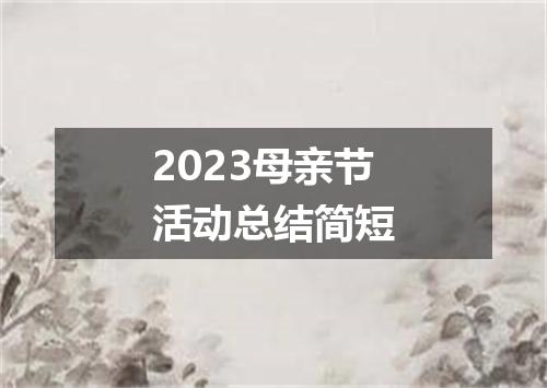 2023母亲节活动总结简短