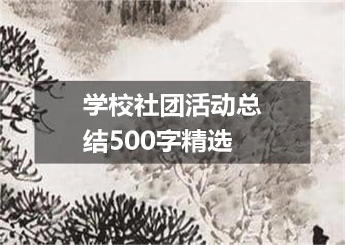学校社团活动总结500字精选