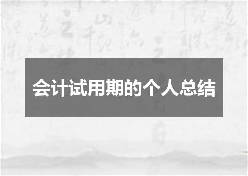 会计试用期的个人总结