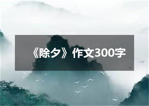 《除夕》作文300字