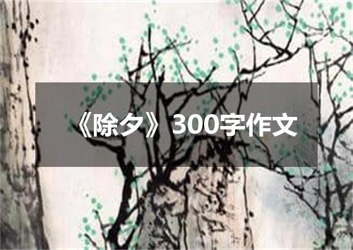 《除夕》300字作文
