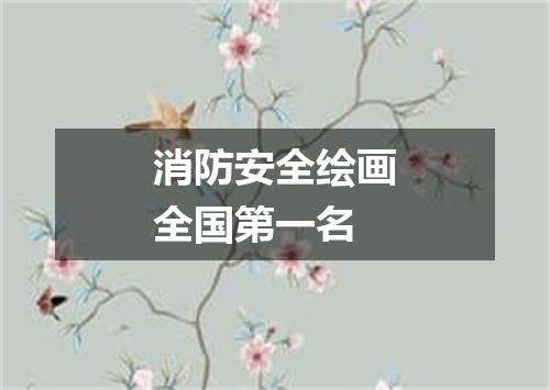 消防安全绘画全国第一名