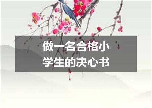 做一名合格小学生的决心书