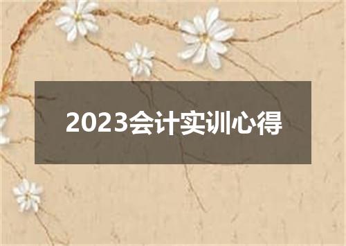 2023会计实训心得