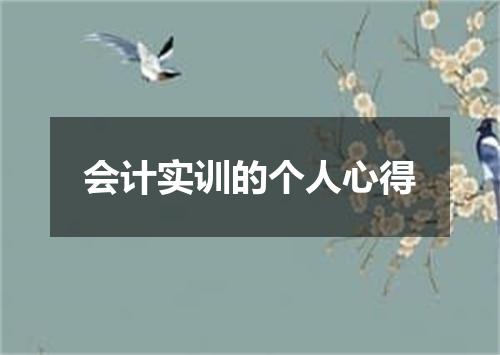 会计实训的个人心得