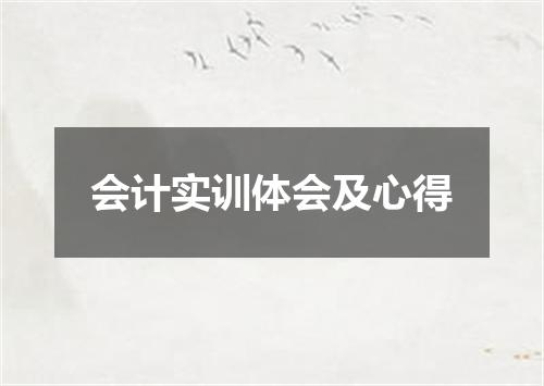 会计实训体会及心得