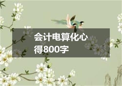 会计电算化心得800字