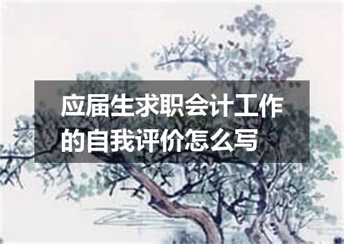 应届生求职会计工作的自我评价怎么写