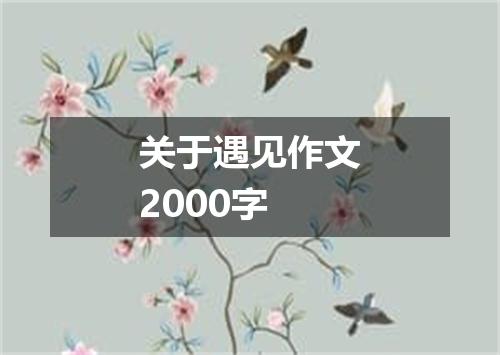 关于遇见作文2000字