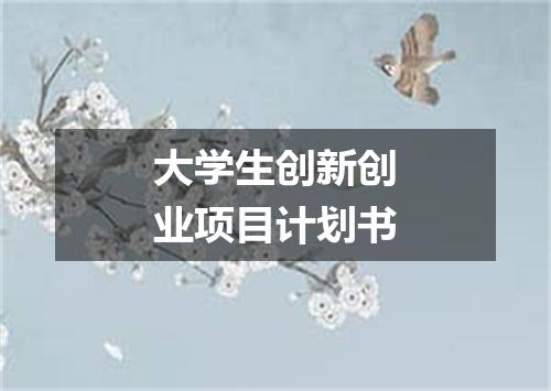 大学生创新创业项目计划书