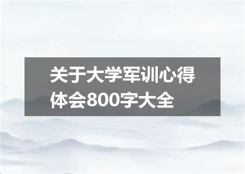 关于大学军训心得体会800字大全