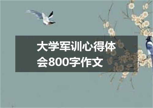 大学军训心得体会800字作文