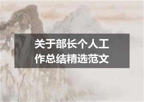关于部长个人工作总结精选范文