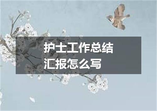 护士工作总结汇报怎么写