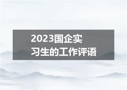 2023国企实习生的工作评语