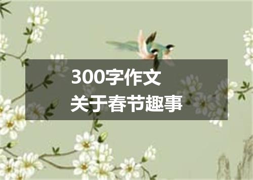 300字作文关于春节趣事