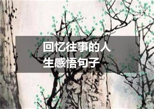 回忆往事的人生感悟句子