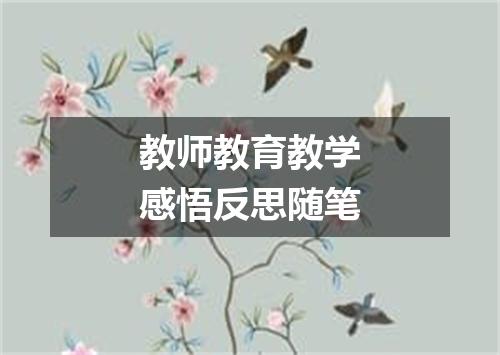 教师教育教学感悟反思随笔