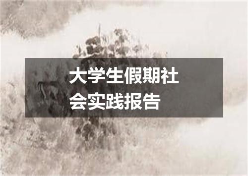 大学生假期社会实践报告