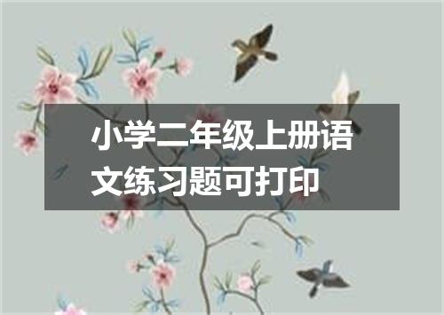 小学二年级上册语文练习题可打印