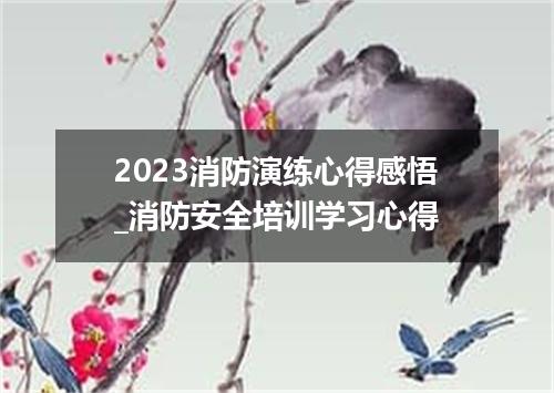 2023消防演练心得感悟_消防安全培训学习心得