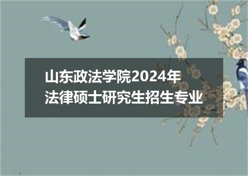山东政法学院2024年法律硕士研究生招生专业