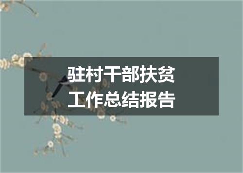 驻村干部扶贫工作总结报告