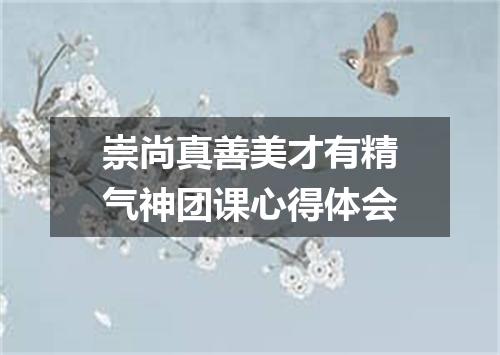 崇尚真善美才有精气神团课心得体会