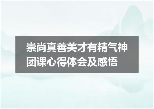 崇尚真善美才有精气神团课心得体会及感悟