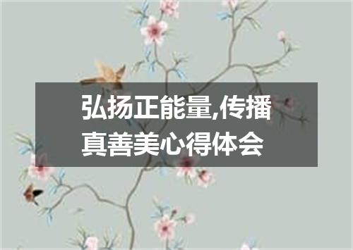 弘扬正能量,传播真善美心得体会