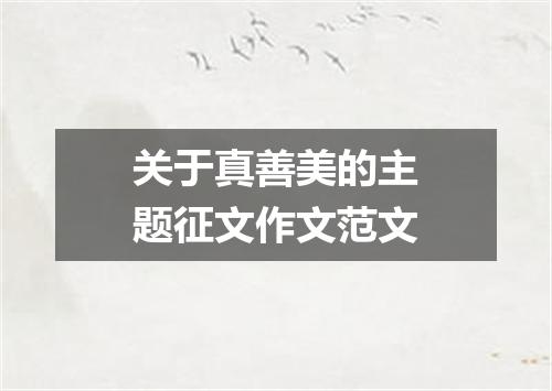 关于真善美的主题征文作文范文