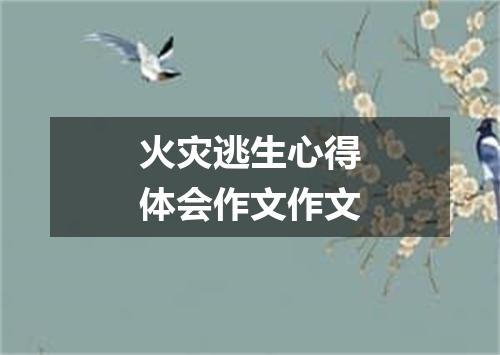 火灾逃生心得体会作文作文