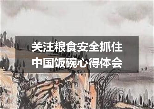 关注粮食安全抓住中国饭碗心得体会